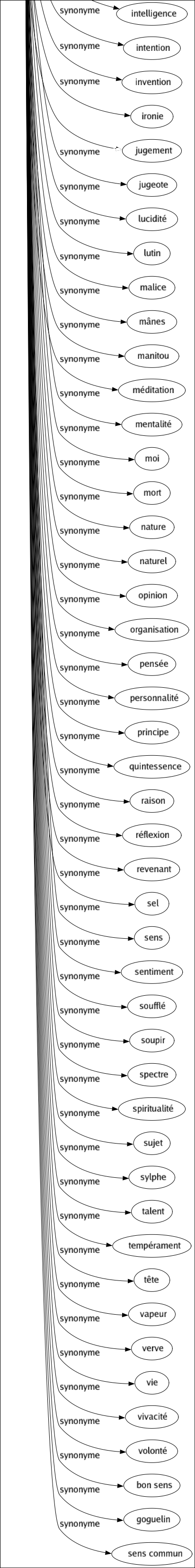 Synonyme de Esprits : Adressé Alcool Alcoolat Âme Ange Animation Apparition À-propos Brio Capacité Caractère Causticité Cérébralité Cerveau Cervelle Coeur Collection Compréhension Conception Conscience Culture Démon Discernement Disposition Divinité Don Elfe Élu Entendement Essence Être Extrait Faculté Fantaisie Fantôme Farfadet Fée Finesse Fluide Fond Génie Gnome Grâce Homme Humain Humeur Humour Imagination Ingéniosité Inspiration Intellect Intellection Intelligence Intention Invention Ironie Jugement Jugeote Lucidité Lutin Malice Mânes Manitou Méditation Mentalité Moi Mort Nature Naturel Opinion Organisation Pensée Personnalité Principe Quintessence Raison Réflexion Revenant Sel Sens Sentiment Soufflé Soupir Spectre Spiritualité Sujet Sylphe Talent Tempérament Tête Vapeur Verve Vie Vivacité Volonté Bon sens Goguelin Sens commun 