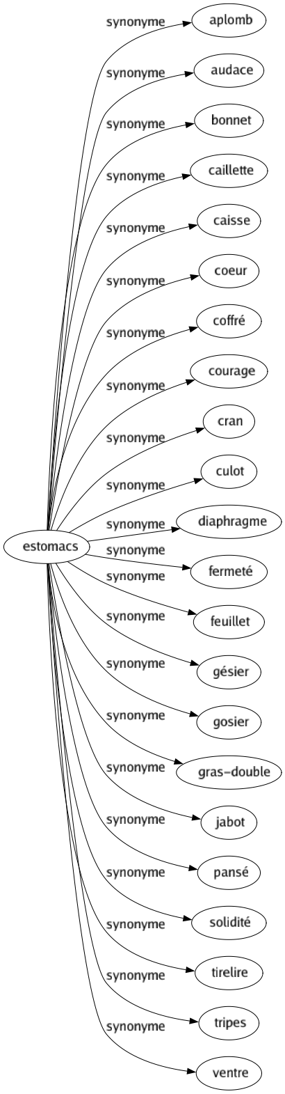 Synonyme de Estomacs : Aplomb Audace Bonnet Caillette Caisse Coeur Coffré Courage Cran Culot Diaphragme Fermeté Feuillet Gésier Gosier Gras-double Jabot Pansé Solidité Tirelire Tripes Ventre 