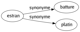 Synonyme de Estran : Batture Platin 