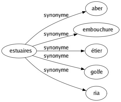 Synonyme de Estuaires : Aber Embouchure Étier Golfe Ria 