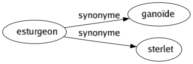 Synonyme de Esturgeon : Ganoïde Sterlet 