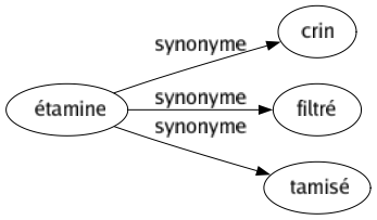 Synonyme de Étamine : Crin Filtré Tamisé 