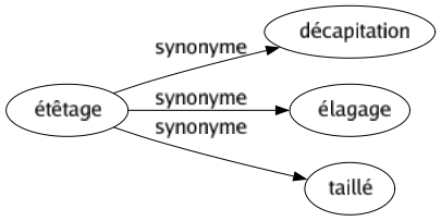 Synonyme de Étêtage : Décapitation Élagage Taillé 