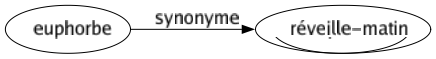 Synonyme de Euphorbe : Réveille-matin 