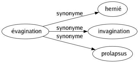 Synonyme de Évagination : Hernié Invagination Prolapsus 