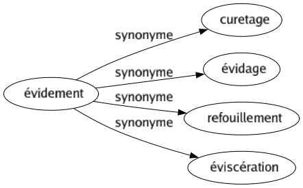 Synonyme de Évidement : Curetage Évidage Refouillement Éviscération 