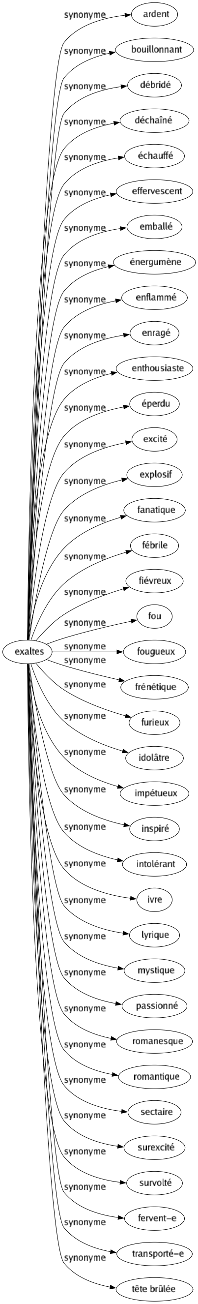 Synonyme de Exaltes : Ardent Bouillonnant Débridé Déchaîné Échauffé Effervescent Emballé Énergumène Enflammé Enragé Enthousiaste Éperdu Excité Explosif Fanatique Fébrile Fiévreux Fou Fougueux Frénétique Furieux Idolâtre Impétueux Inspiré Intolérant Ivre Lyrique Mystique Passionné Romanesque Romantique Sectaire Surexcité Survolté Fervent-e Transporté-e Tête brûlée 