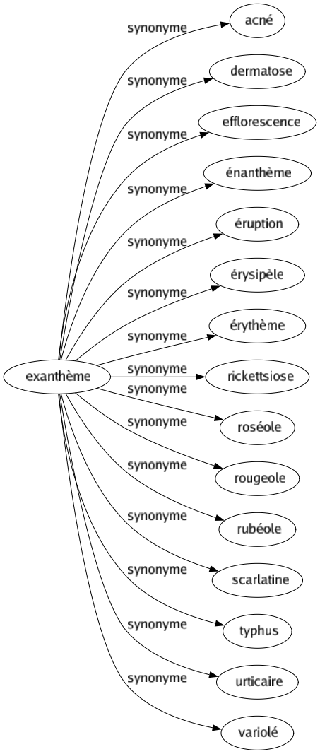 Synonyme de Exanthème : Acné Dermatose Efflorescence Énanthème Éruption Érysipèle Érythème Rickettsiose Roséole Rougeole Rubéole Scarlatine Typhus Urticaire Variolé 