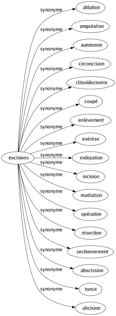 Synonyme de Excisions : Ablation Amputation Autotomie Circoncision Clitoridectomie Coupé Enlèvement Exérèse Extirpation Incision Mutilation Opération Résection Sectionnement Abscission Tomie Abcision 