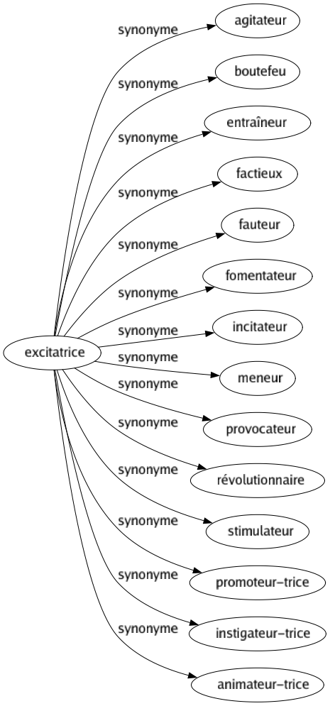 Synonyme de Excitatrice : Agitateur Boutefeu Entraîneur Factieux Fauteur Fomentateur Incitateur Meneur Provocateur Révolutionnaire Stimulateur Promoteur-trice Instigateur-trice Animateur-trice 