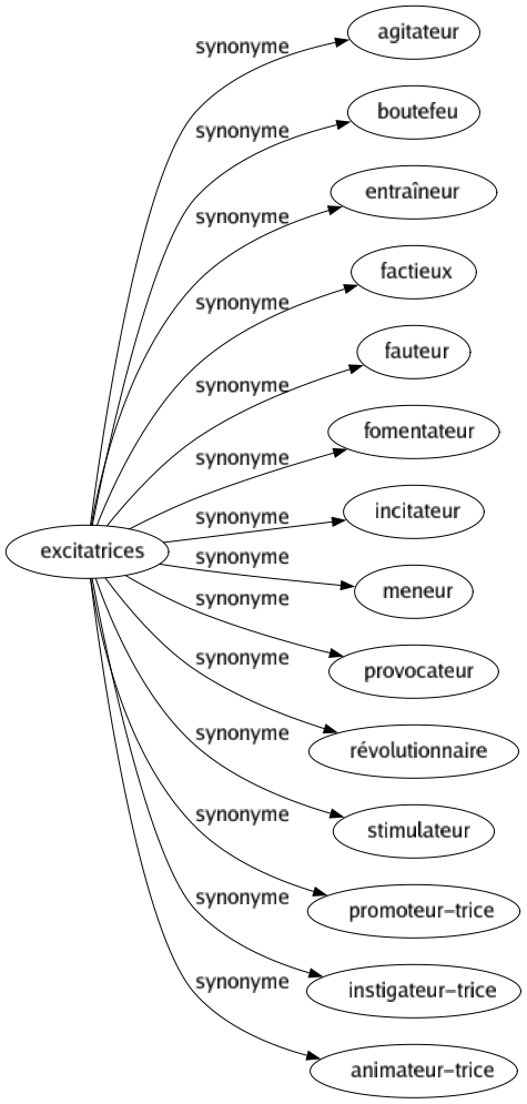 Synonyme de Excitatrices : Agitateur Boutefeu Entraîneur Factieux Fauteur Fomentateur Incitateur Meneur Provocateur Révolutionnaire Stimulateur Promoteur-trice Instigateur-trice Animateur-trice 