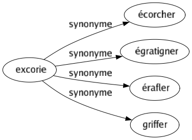 Synonyme de Excorie : Écorcher Égratigner Érafler Griffer 