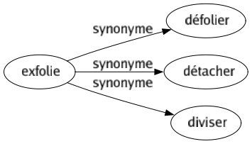 Synonyme de Exfolie : Défolier Détacher Diviser 