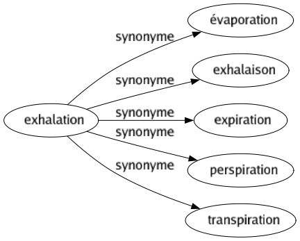 Synonyme de Exhalation : Évaporation Exhalaison Expiration Perspiration Transpiration 