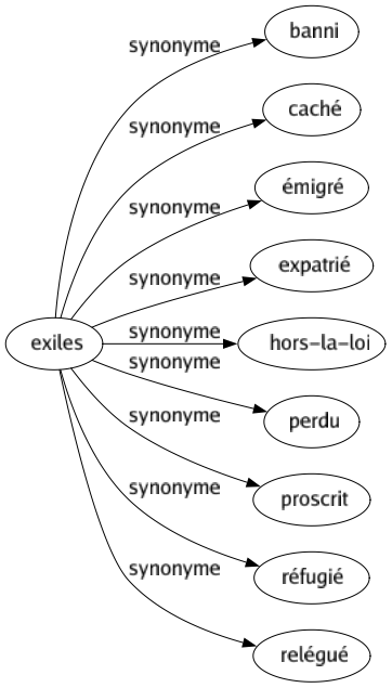 Synonyme de Exiles : Banni Caché Émigré Expatrié Hors-la-loi Perdu Proscrit Réfugié Relégué 