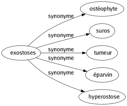 Synonyme de Exostoses : Ostéophyte Suros Tumeur Éparvin Hyperostose 