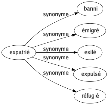 Synonyme de Expatrié : Banni Émigré Exilé Expulsé Réfugié 