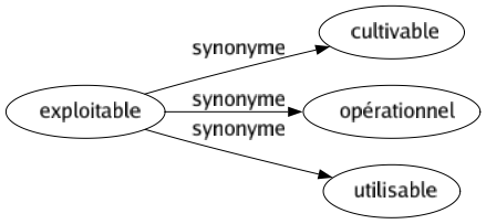 Synonyme de Exploitable : Cultivable Opérationnel Utilisable 