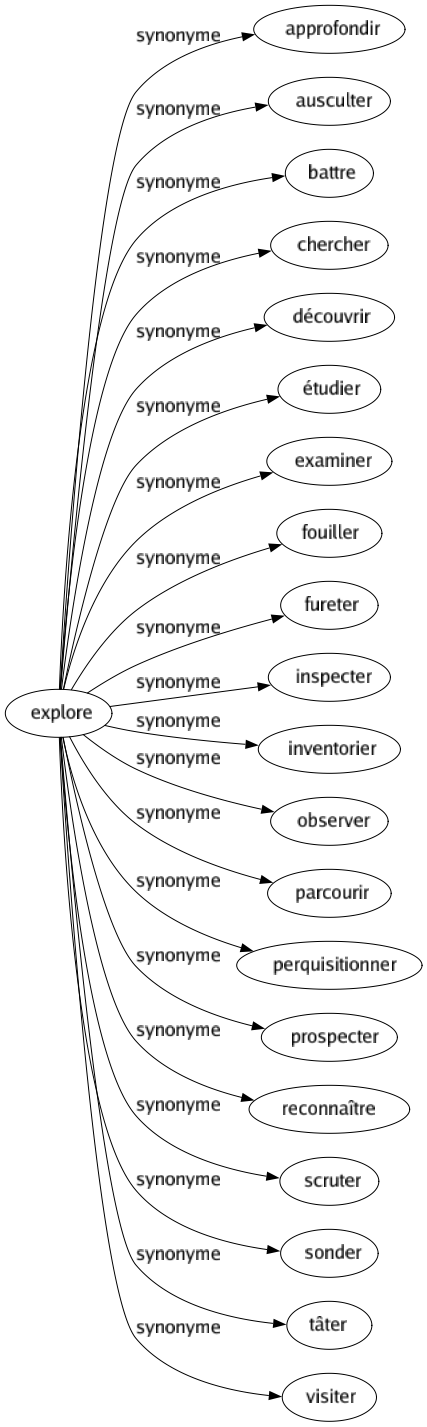 Synonyme de Explore : Approfondir Ausculter Battre Chercher Découvrir Étudier Examiner Fouiller Fureter Inspecter Inventorier Observer Parcourir Perquisitionner Prospecter Reconnaître Scruter Sonder Tâter Visiter 