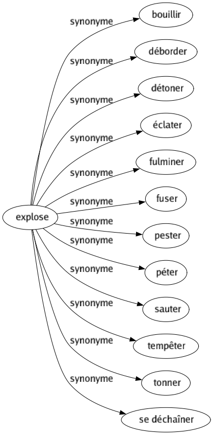 Synonyme de Explose : Bouillir Déborder Détoner Éclater Fulminer Fuser Pester Péter Sauter Tempêter Tonner Se déchaîner 