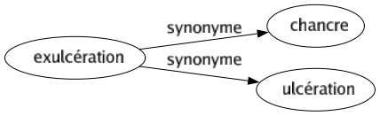 Synonyme de Exulcération : Chancre Ulcération 