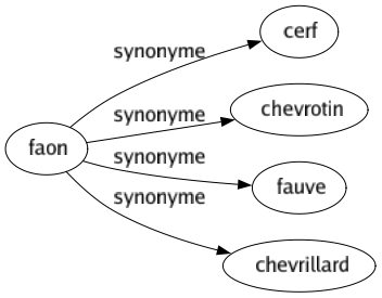 Synonyme de Faon : Cerf Chevrotin Fauve Chevrillard 