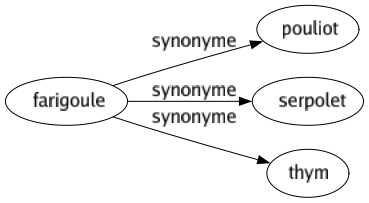 Synonyme de Farigoule : Pouliot Serpolet Thym 