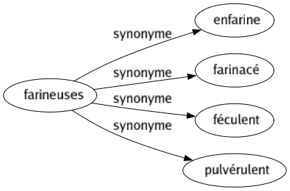 Synonyme de Farineuses : Enfarine Farinacé Féculent Pulvérulent 