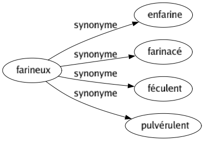 Synonyme de Farineux : Enfarine Farinacé Féculent Pulvérulent 