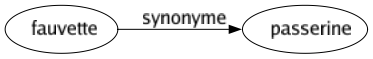 Synonyme de Fauvette : Passerine 