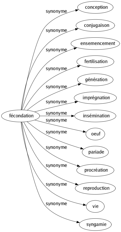 Synonyme de Fécondation : Conception Conjugaison Ensemencement Fertilisation Génération Imprégnation Insémination Oeuf Pariade Procréation Reproduction Vie Syngamie 