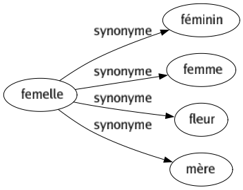 Synonyme de Femelle : Féminin Femme Fleur Mère 