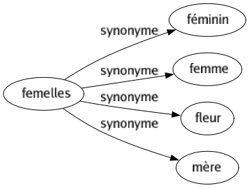Synonyme de Femelles : Féminin Femme Fleur Mère 