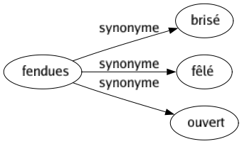 Synonyme de Fendues : Brisé Fêlé Ouvert 