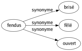 Synonyme de Fendus : Brisé Fêlé Ouvert 