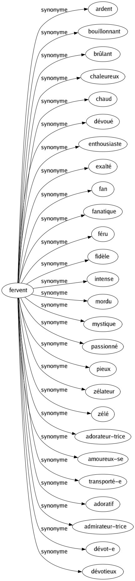 Synonyme de Fervent : Ardent Bouillonnant Brûlant Chaleureux Chaud Dévoué Enthousiaste Exalté Fan Fanatique Féru Fidèle Intense Mordu Mystique Passionné Pieux Zélateur Zélé Adorateur-trice Amoureux-se Transporté-e Adoratif Admirateur-trice Dévot-e Dévotieux 