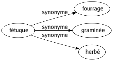 Synonyme de Fétuque : Fourrage Graminée Herbé 