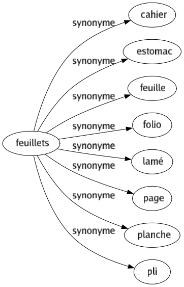 Synonyme de Feuillets : Cahier Estomac Feuille Folio Lamé Page Planche Pli 