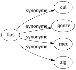 Synonyme de Fias : Cul Gonze Mec Zig 