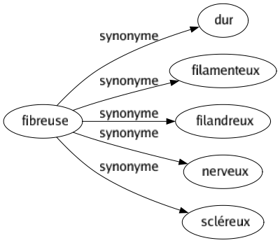 Synonyme de Fibreuse : Dur Filamenteux Filandreux Nerveux Scléreux 