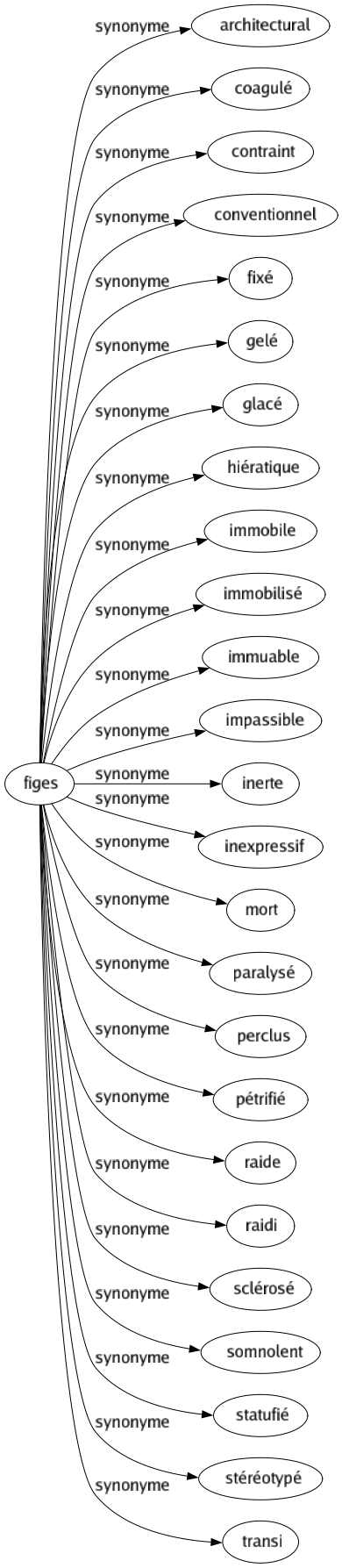 Synonyme de Figes : Architectural Coagulé Contraint Conventionnel Fixé Gelé Glacé Hiératique Immobile Immobilisé Immuable Impassible Inerte Inexpressif Mort Paralysé Perclus Pétrifié Raide Raidi Sclérosé Somnolent Statufié Stéréotypé Transi 