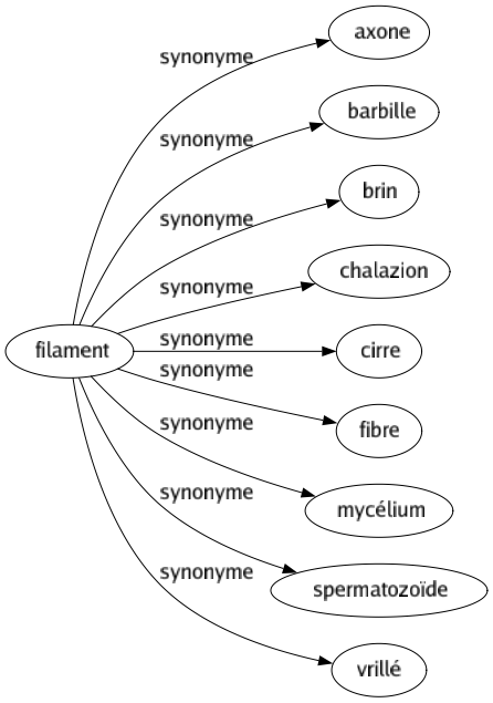 Synonyme de Filament : Axone Barbille Brin Chalazion Cirre Fibre Mycélium Spermatozoïde Vrillé 