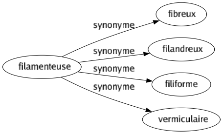 Synonyme de Filamenteuse : Fibreux Filandreux Filiforme Vermiculaire 