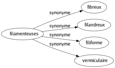 Synonyme de Filamenteuses : Fibreux Filandreux Filiforme Vermiculaire 