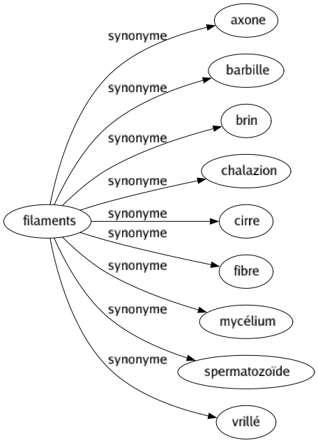 Synonyme de Filaments : Axone Barbille Brin Chalazion Cirre Fibre Mycélium Spermatozoïde Vrillé 
