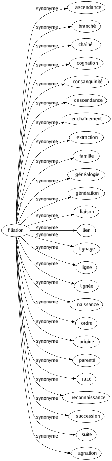 Synonyme de Filiation : Ascendance Branché Chaîné Cognation Consanguinité Descendance Enchaînement Extraction Famille Généalogie Génération Liaison Lien Lignage Ligne Lignée Naissance Ordre Origine Parenté Racé Reconnaissance Succession Suite Agnation 