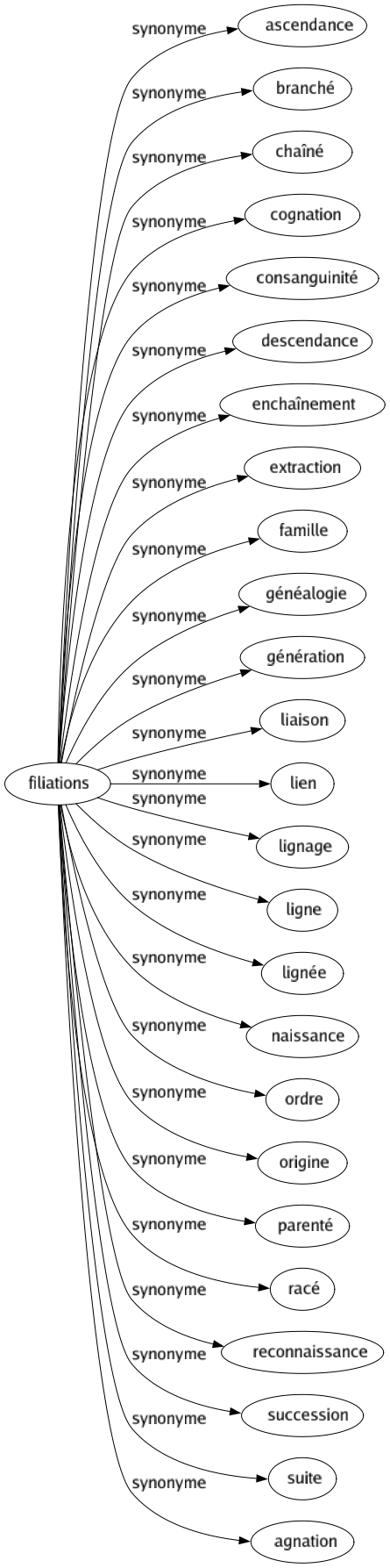 Synonyme de Filiations : Ascendance Branché Chaîné Cognation Consanguinité Descendance Enchaînement Extraction Famille Généalogie Génération Liaison Lien Lignage Ligne Lignée Naissance Ordre Origine Parenté Racé Reconnaissance Succession Suite Agnation 