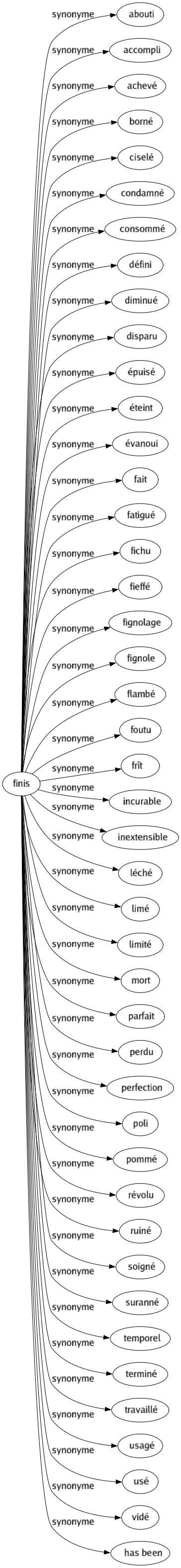 Synonyme de Finis : Abouti Accompli Achevé Borné Ciselé Condamné Consommé Défini Diminué Disparu Épuisé Éteint Évanoui Fait Fatigué Fichu Fieffé Fignolage Fignole Flambé Foutu Frît Incurable Inextensible Léché Limé Limité Mort Parfait Perdu Perfection Poli Pommé Révolu Ruiné Soigné Suranné Temporel Terminé Travaillé Usagé Usé Vidé Has been 