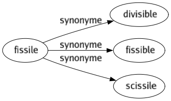Synonyme de Fissile : Divisible Fissible Scissile 