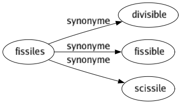 Synonyme de Fissiles : Divisible Fissible Scissile 